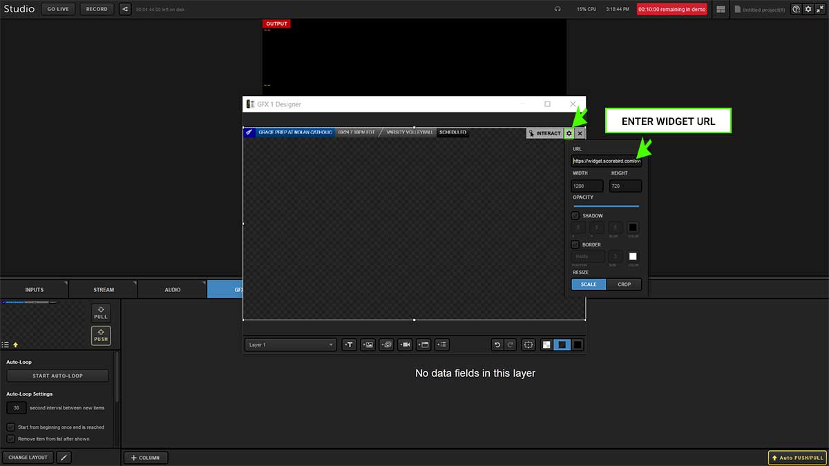 Enter the widget URL and set approximate dimensions